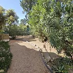 T3 Classee 3 Etoiles Proche A Pied San Cipriano San Ciprianu