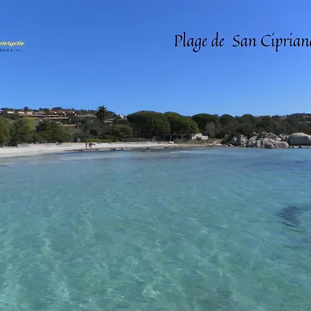 T3 Classee 3 Etoiles Proche A Pied San Cipriano * San Ciprianu