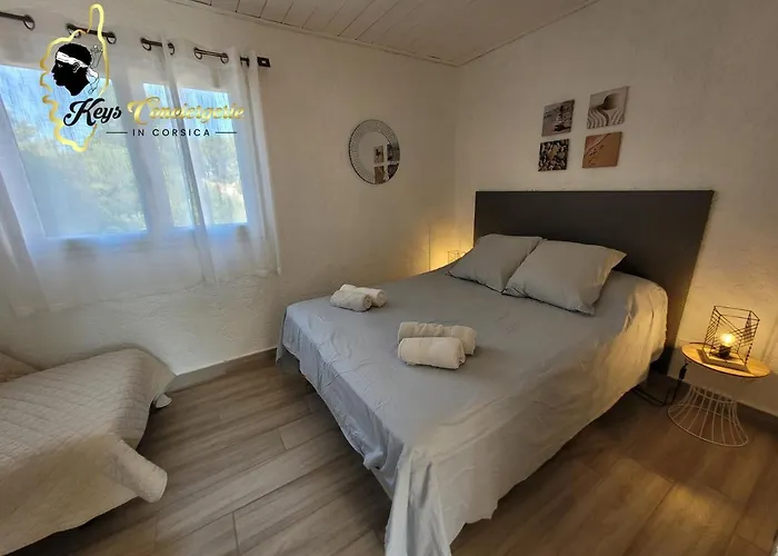 T3 Classée 3 étoiles Proche à Pied San Cipriano